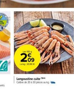 Les 100 g  209  Lokg: 20,90 €  Langoustine cuite  Calibre de 20 à 30 pièces au kg 