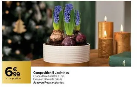 699  la composition  composition 5 jacinthes coupe déco diamètre 16 cm. existe en différents coloris. au rayon fleurs et plantes  sporges  1 