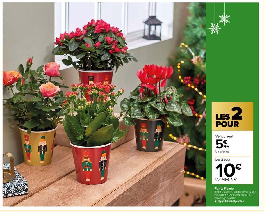 10  LES 2  POUR  Vendu seul  595  €  La plante  Les 2 pour  10€  L'unité(e): 5 €  Plante Fleurie  Rosier, Cyclamen, Kalanchoe ou Azalée  Pot diametre 12 cm avec cache Pot Panachage possible.  Au rayon