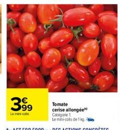 tomate cerise 