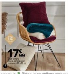 TEX  1799  dont 0.06 € deco-participation  Le coussin 50 x 50 cm 