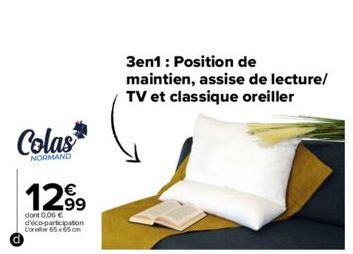 Colas  NORMAND  12.99  dont 0,06 € d'éco-participation Lorer 65x65cm  3en1 : Position de maintien, assise de lecture/ TV et classique oreiller 