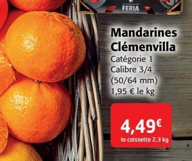 mandarines clémenvilla 