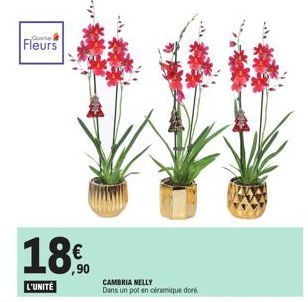 Querie  Fleurs  18€  L'UNITÉ  CAMBRIA NELLY Dans un pot en céramique doré 