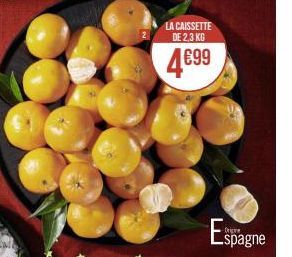 LA CAISSETTE DE 2,3 KG  4.699  Espagne 