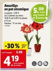 plantes 