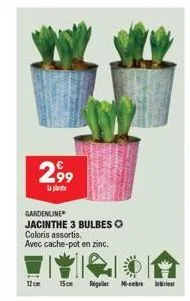 2,99  gardenline  jacinthe 3 bulbeso  coloris assortis.  avec cache-pot en zinc.  12cm  15cm reguler mobi 