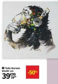 toile marwin 80x80 cm  3999  €99  -50%  