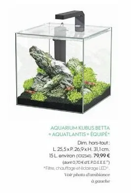 aquarium 