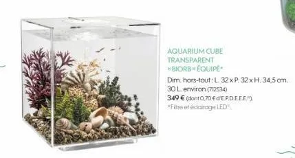 aquarium 