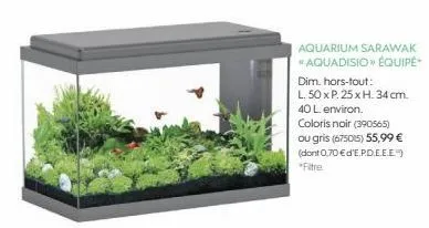 aquarium 