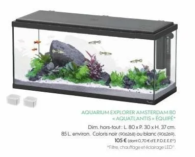 aquarium explorer amsterdam 80 "aquatlantis » équipé  dim. hors-tout: l. 80 x p. 30 x h. 37 cm. 85 l. environ. coloris noir (906268) ou blanc (906269). 105 € (dont 0,70 € d'e.p.d.e.e.e") *filtre, chau