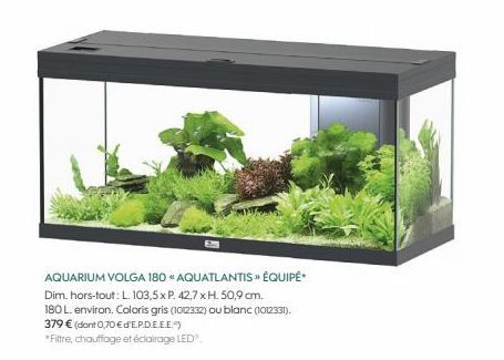aquarium 
