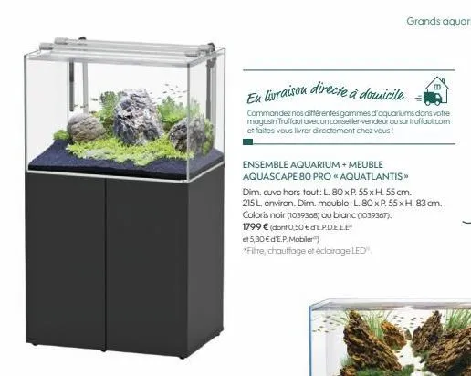 aquarium 