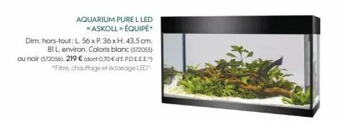 aquarium pure l led * askoll » équipé*  dim. hors-tout: l. 56x p. 36 x h. 43,5 cm.  81 l. environ. coloris blanc (572055) ou noir (572056). 219 € (dont 0,70 € d'e.pd.e.e.e.") *filtre, chauffage et écl