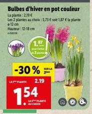 Bulbes d'hiver en pot couleur  La plante: 2,19 €  Les 2 plantes au choix: 3,73 € soit 1,87 € la plante a 12 cm Hauteur: 12-18 cm  -58209  -30%  LA PLANTE 2.19  154  SUR LA 2 MI  LA PLANTE AU CHOIX  A 