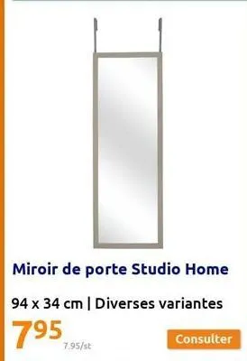 miroir de porte studio home  94 x 34 cm | diverses variantes  795 