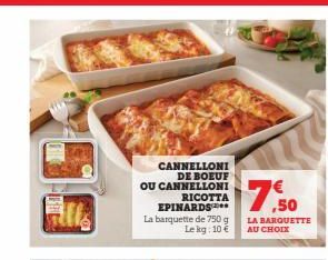 cannelloni 