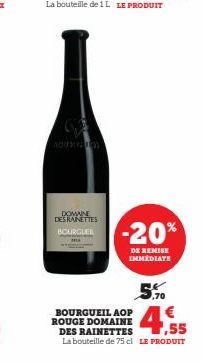 BOURGUEIL AOP ROUGE DOMAINE  DES RAINETTES  