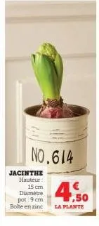 no.614  jacinthe hauteur:  15 cm  diamètre pot: 9 cm  boite en zinc  €  4,50  la plante 