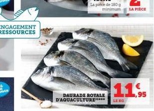 ENGAGEMENT RESSOURCES  DAURADE ROYALE D'AQUACULTURE****  11.95  €  LE HO 