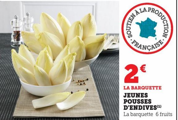 JEUNES POUSSES D'ENDIVES