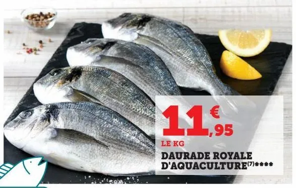 daurade royale d'aquaculture