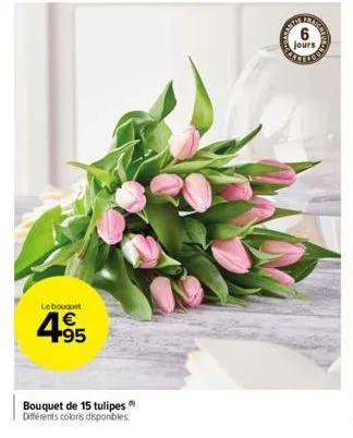 tulipes 3m