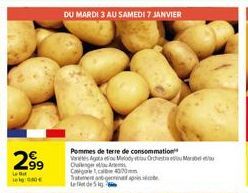 pommes de terre 