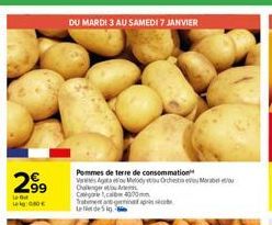 pommes de terre 