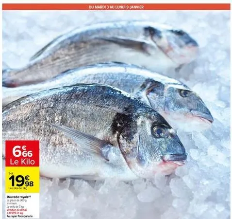 6%  le kilo  sot  1998  le cas de 3kg  daurade royale lapice de 300g mu tacols de 3  vendue au dita 8,99€ lekg  au rayon poissonnerie  du mardi 3 au lundi 9 indi 9 janvier 