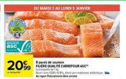 saumon Carrefour