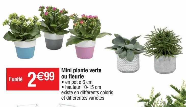 plantes