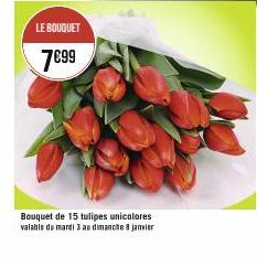 tulipes 