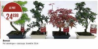 LE POT  24€99  Bonsai  Pat céramique + soucoupe, damit 20cm 