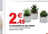 La succulente en pot ciment offre à 2,49€ sur Bazarland
