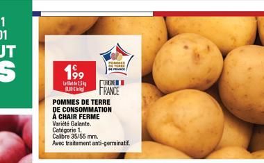 199  L25 BLIC  POMMES DE TERRE DE CONSOMMATION À CHAIR FERME Variété Galante.  Catégorie 1. Calibre 35/55 mm. Avec traitement anti-germinatif.  POME DE TERRE  OF FRANCE  ORGNE FRANCE 