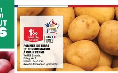 199  l25 blic  pommes de terre de consommation à chair ferme variété galante.  catégorie 1. calibre 35/55 mm. avec traitement anti-germinatif.  pome de terre  of france  orgne france 