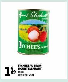 LYCHEES AU SIROP MOUNT ELEPHANT