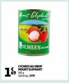 lychees au sirop mount elephant