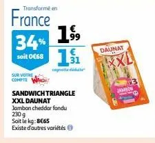 sandwich triangle xxl daunat