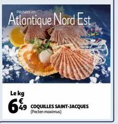 coquilles saint-jacques