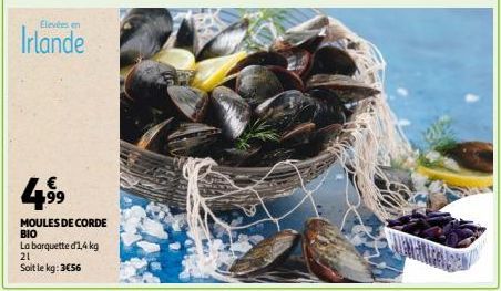 Elevées en  Irlande  Z€  4,⁹⁹9  99  MOULES DE CORDE BIO  La barquette d1,4 kg  21  Soit le kg: 3€56 