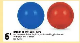 ballon de gym 