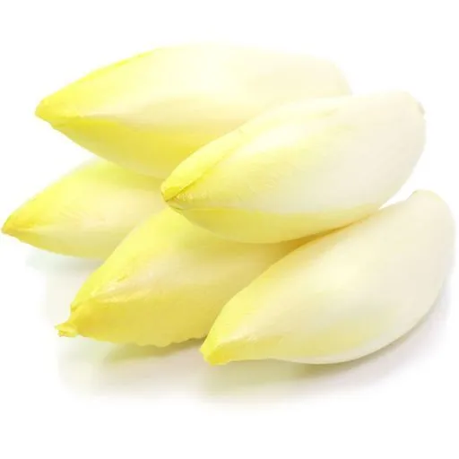 endives 