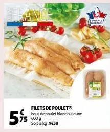  filets de poulet(2) 