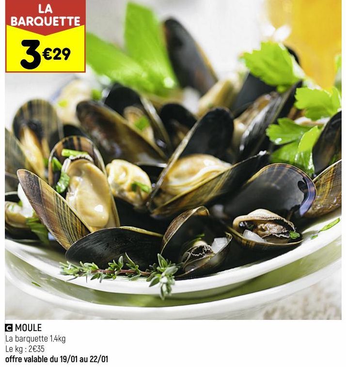 moule