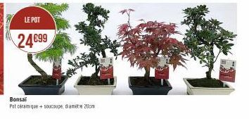 LE POT  24€99  Bonsai  Pat céramique + soucoupe, damit 20cm 