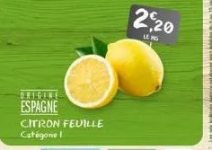 origine espagne citron feuille catégorie i  220  leng 