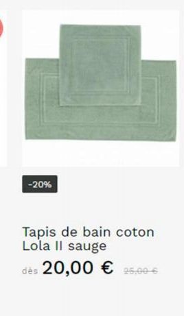 tapis de bain 